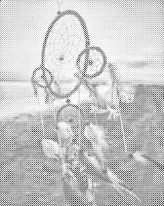 Hvatač snova 4 - Dottingo