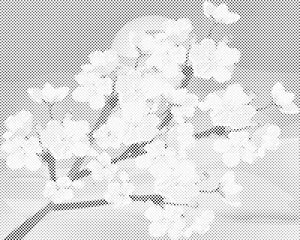 Cvjetovi trešnje - Dottingo