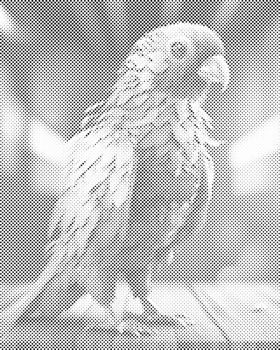 Ponosni papagaj - Dottingo