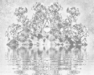 Pelargonije na vodi - Dottingo