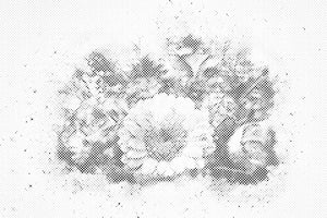 Buket ružičastog cvijeća - Dottingo