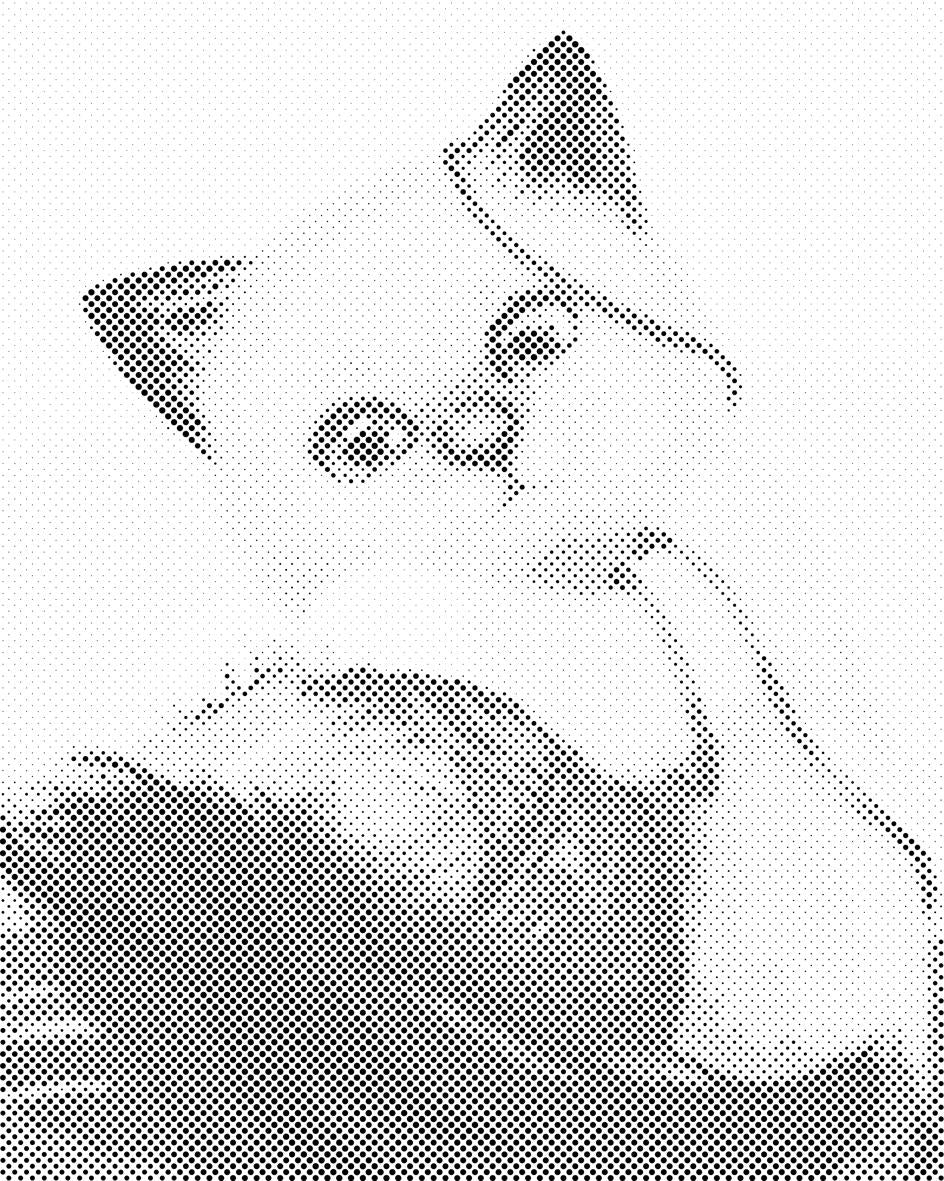 Mačka se igra s loptom - Dottingo