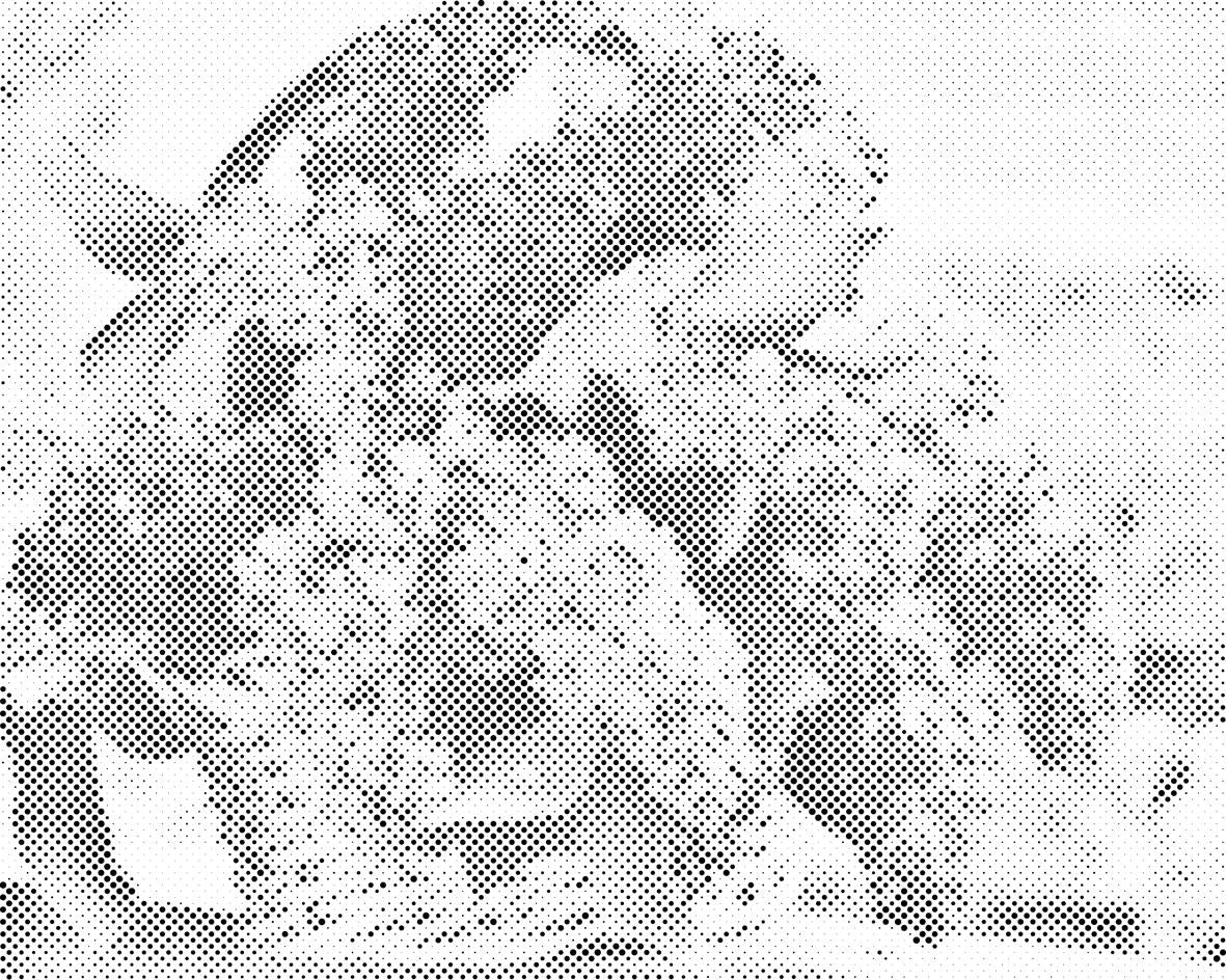 Jorgovan u košari - Dottingo