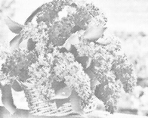 Jorgovan u košari - Dottingo