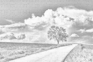 Napušteno drvo - Dottingo