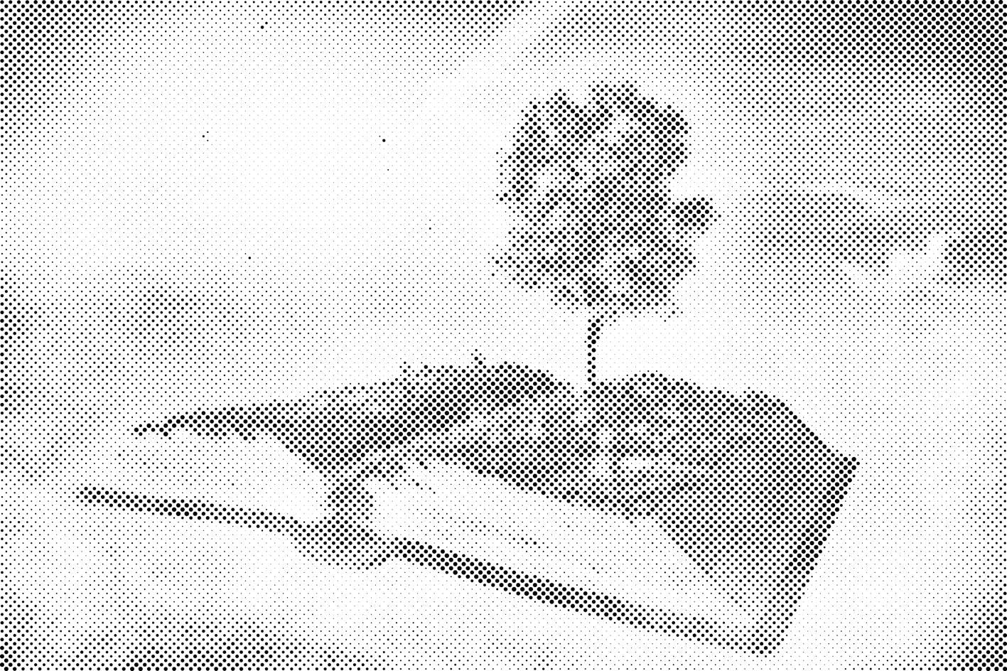 Knjiga u oblacima - Dottingo