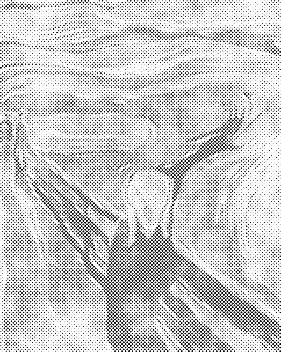 Edvard Munch - Vrisak - Dottingo