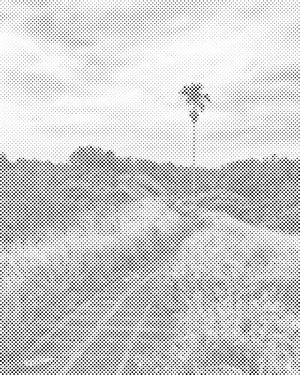 Šetnja poljem riže na Baliju - Dottingo