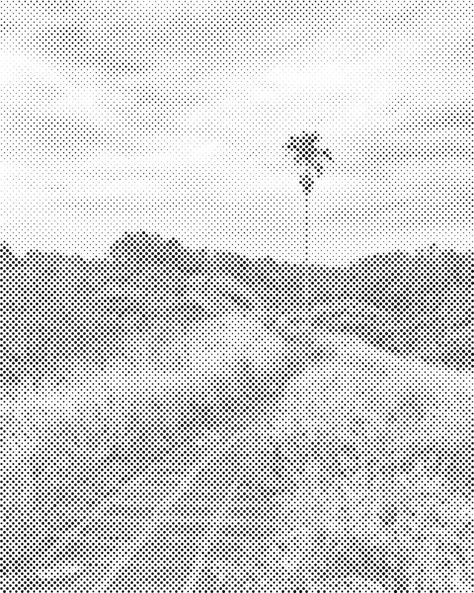 Šetnja poljem riže na Baliju - Dottingo