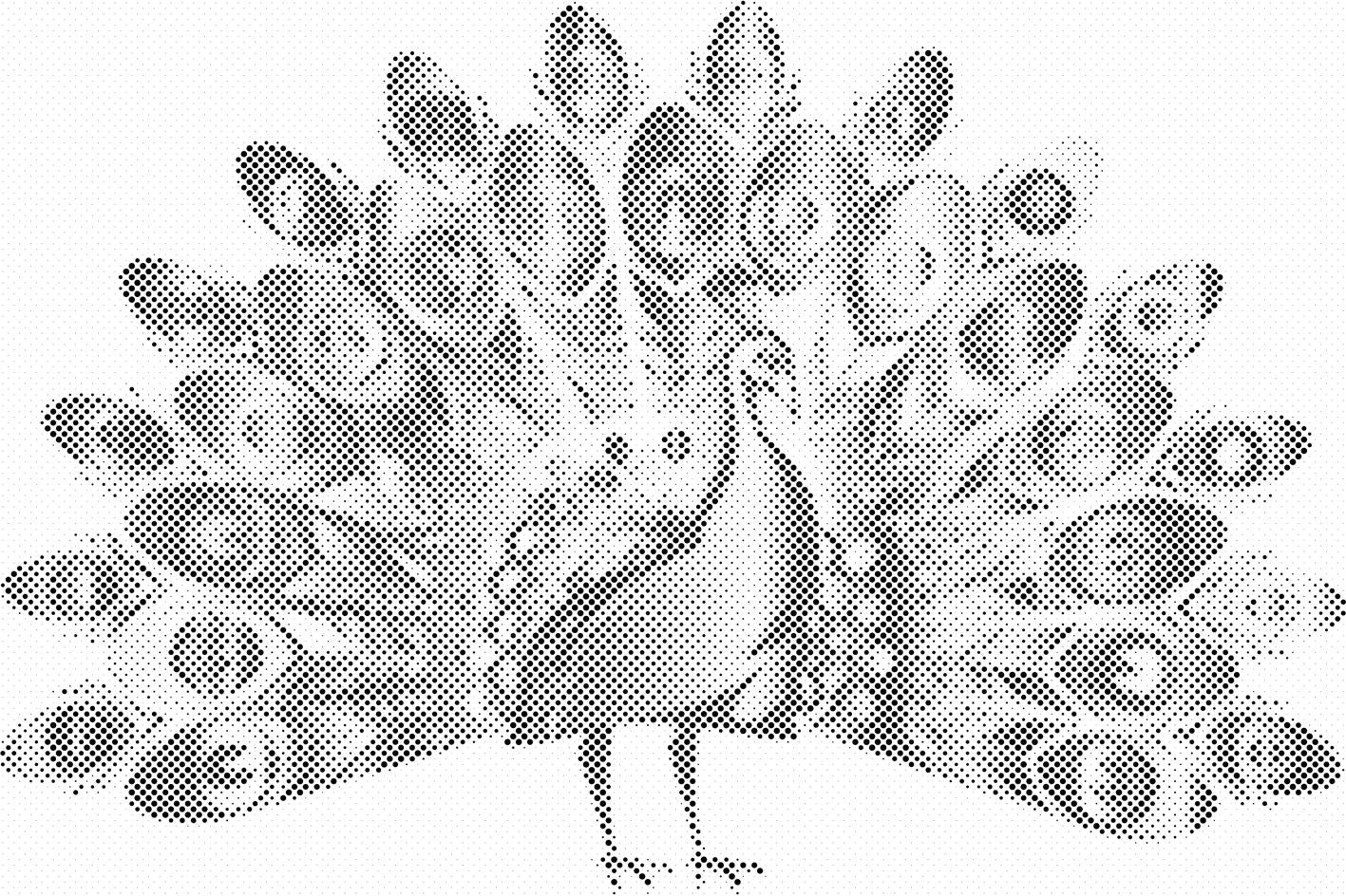 Ponosni paun - Dottingo