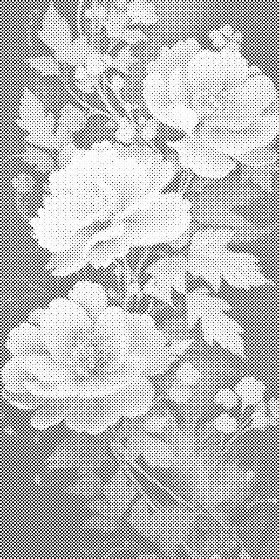 Ljubičastoplave ruže - Dottingo