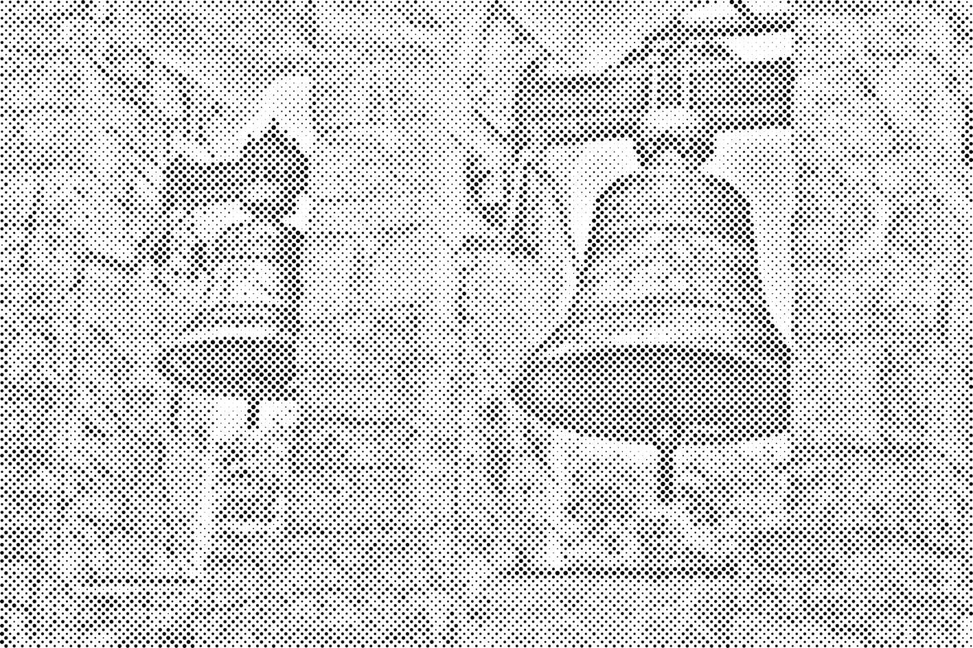 Brončana zvona, Poljska - Dottingo