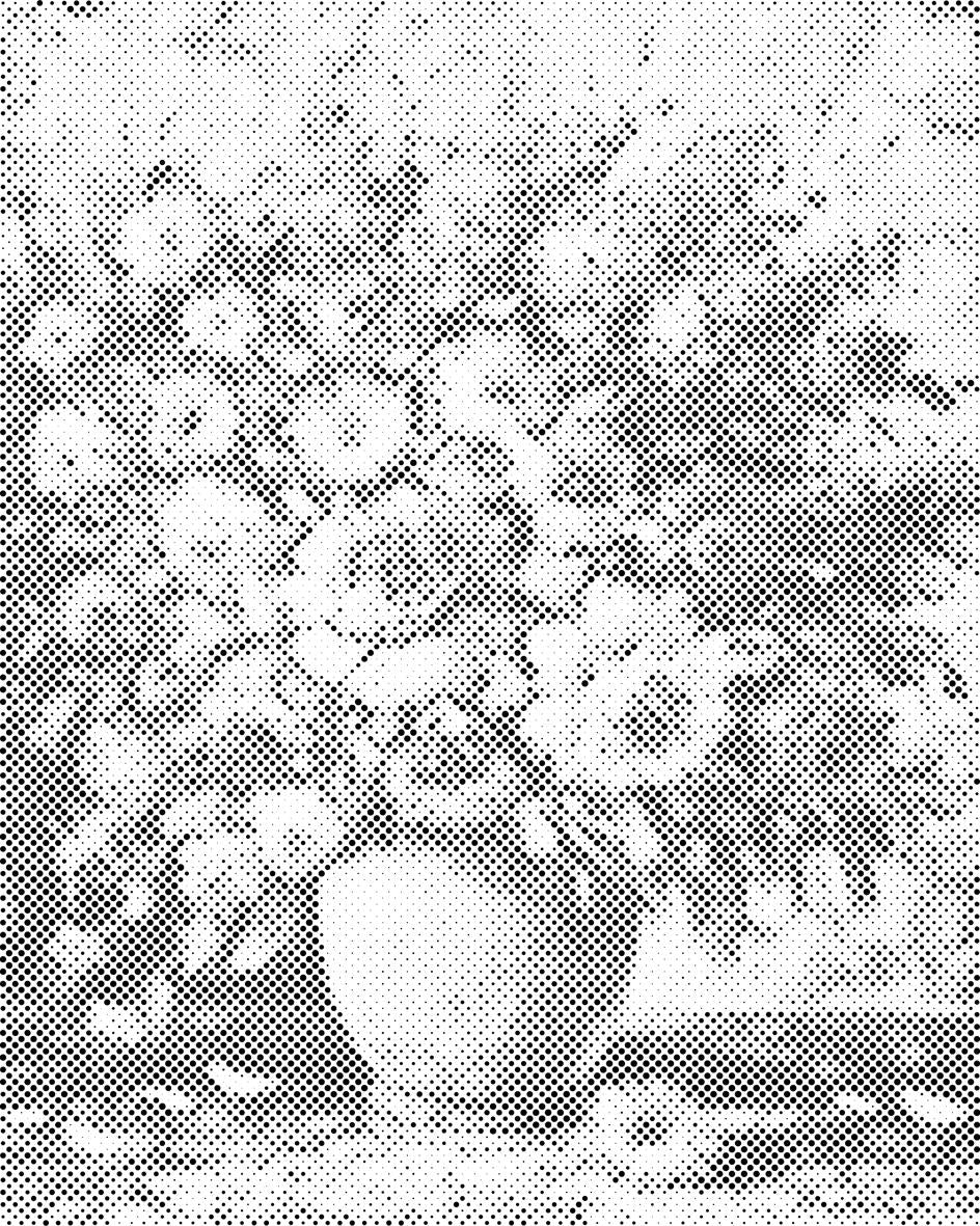 Ljetni buket - Dottingo