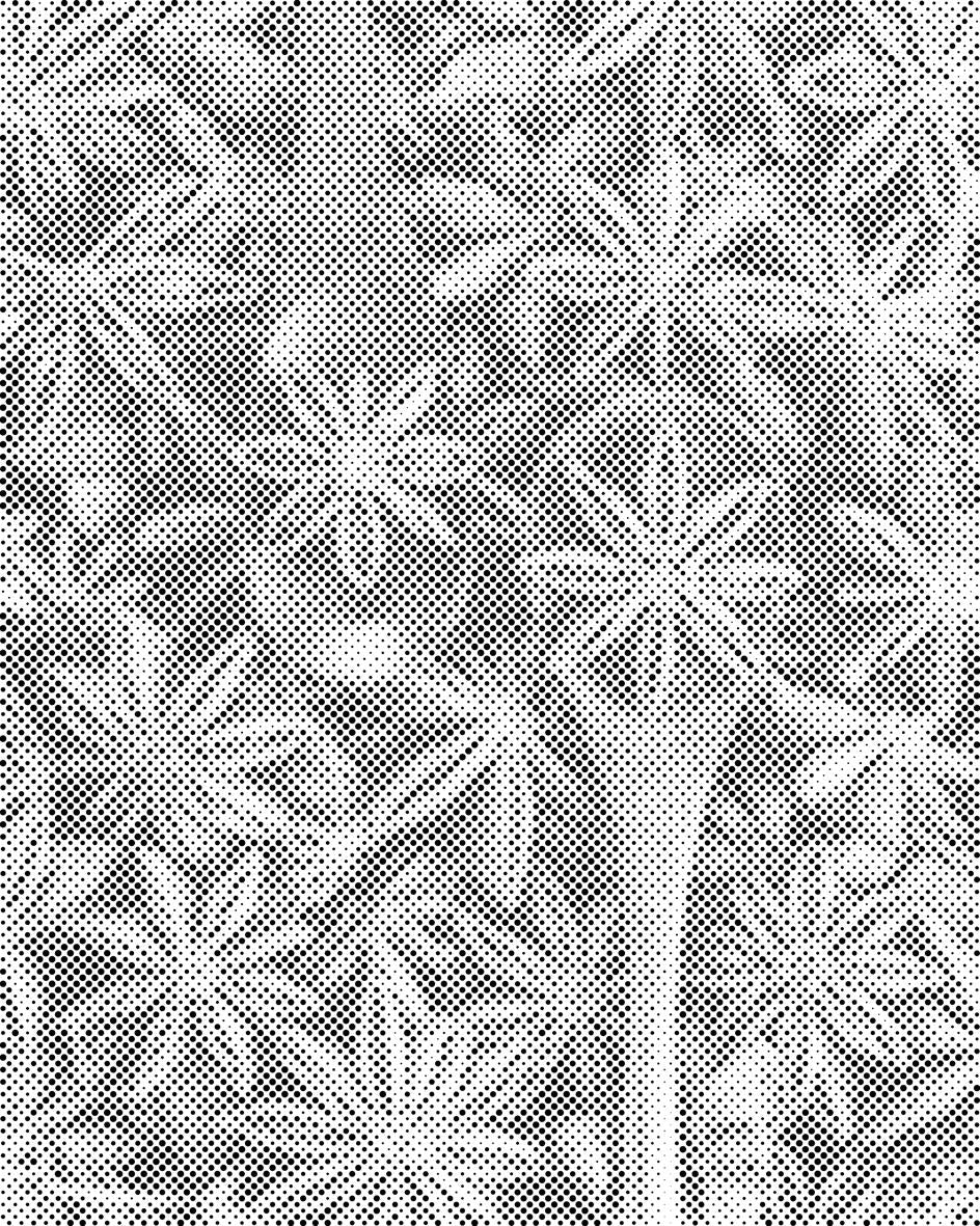 Zvjezdasti anis - Dottingo