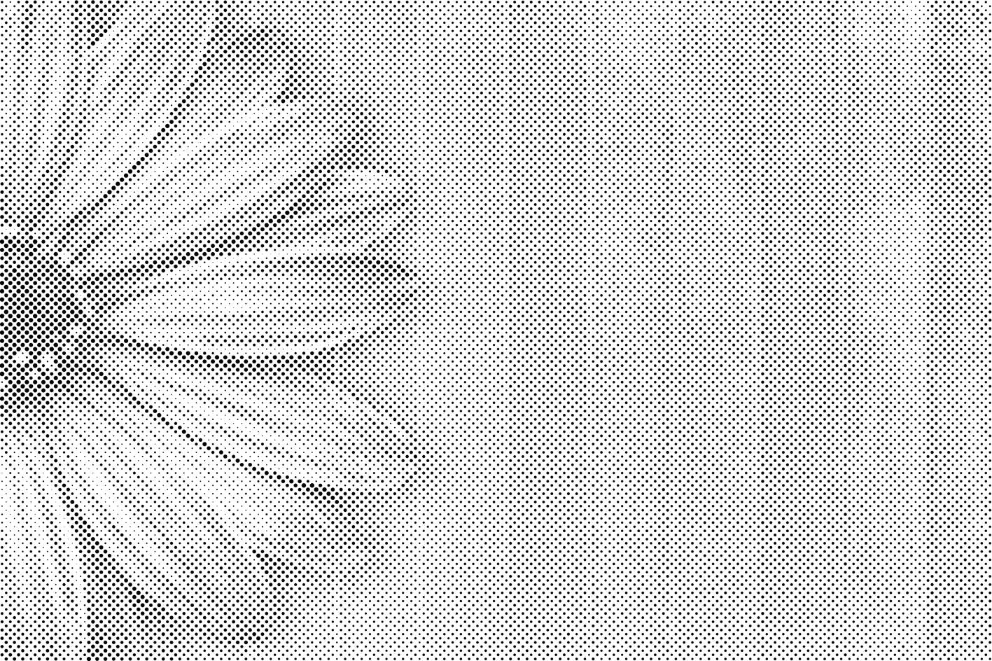 Ljubičasta gerbera - Dottingo