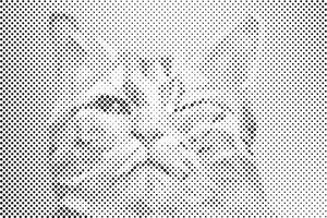 Vektorska mačka - Dottingo