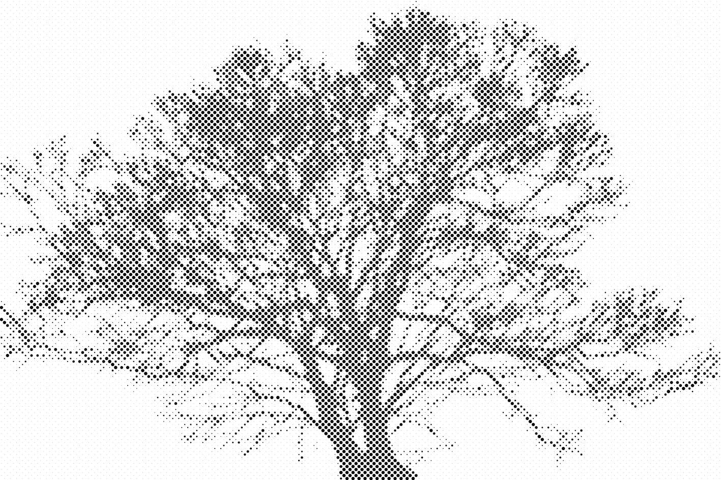 Crno-bijelo drvo - Dottingo