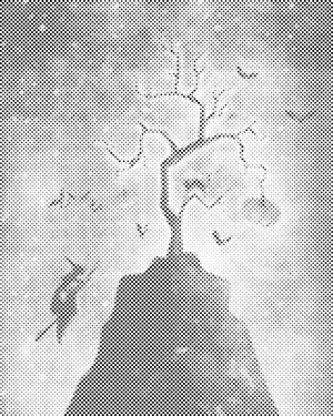 Okupljanje vještica - Dottingo