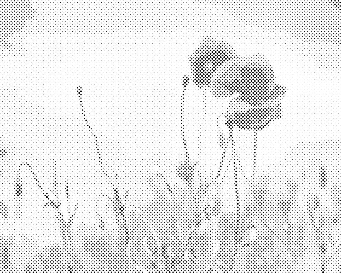 Crveni korov 2 - Dottingo