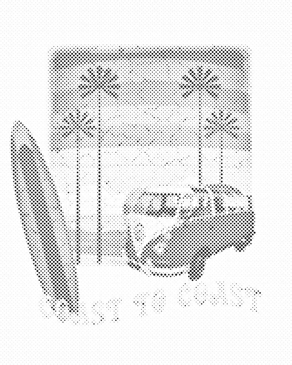 Od obale do obale - Dottingo