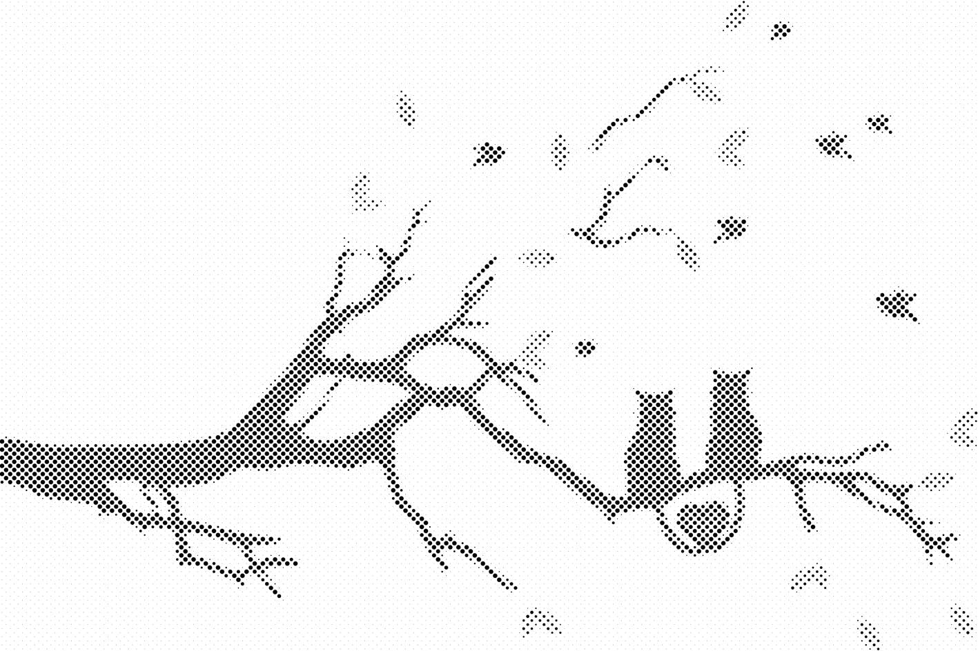 Mačja ljubav - Dottingo