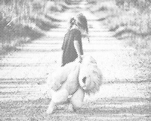 Plišani prijatelj - Dottingo