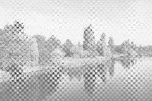 Hyde Park, London 2 - Dottingo