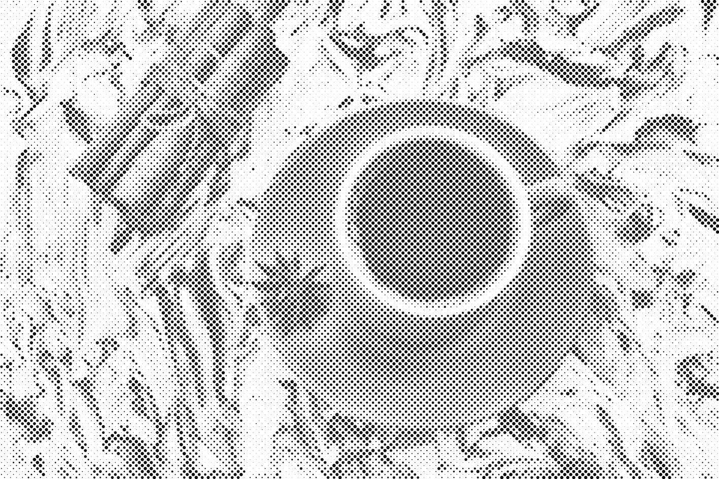 Kava s cimetom - Dottingo