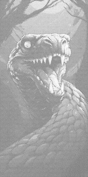 Otrovnica - Dottingo