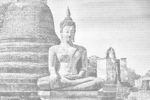 Statua Buddhe - Dottingo