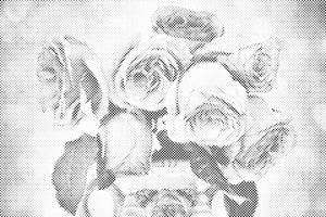 Ruža u vazi - Dottingo