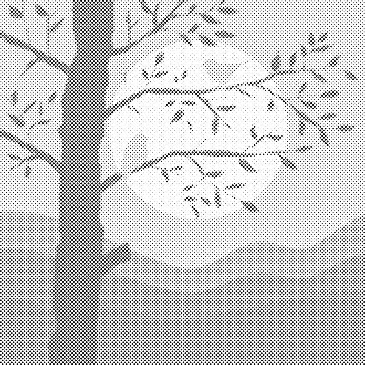 Silueta ptica - Dottingo