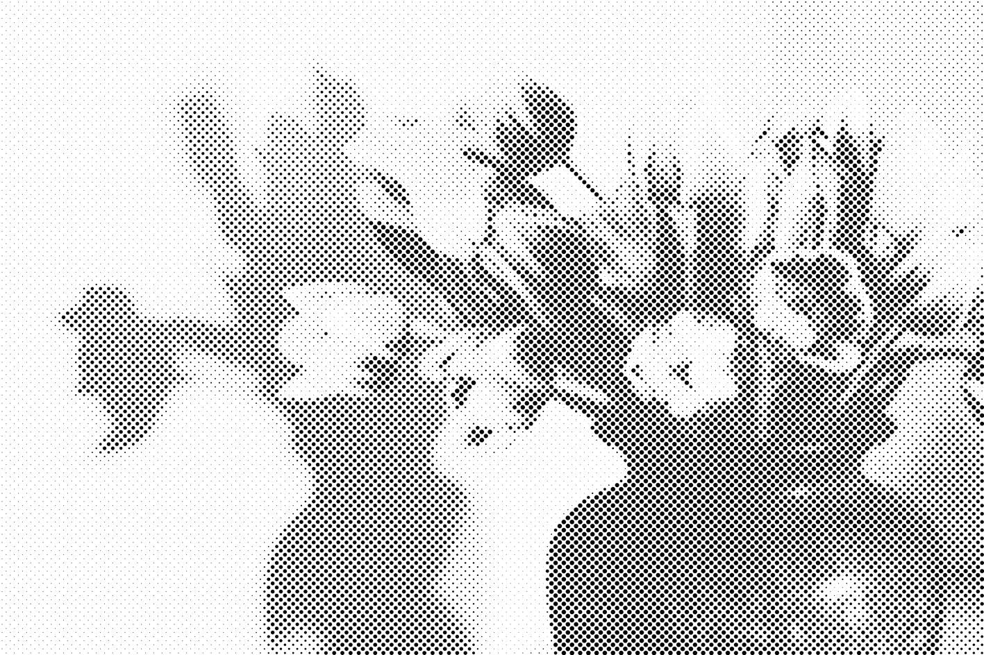 Tulipani u vazi - Dottingo