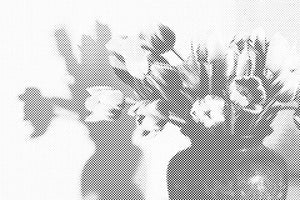 Tulipani u vazi - Dottingo