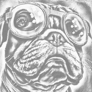 Pas sa elegantnim naočalama 2 - Dottingo