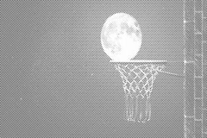 Koš i pun mjesec - Dottingo