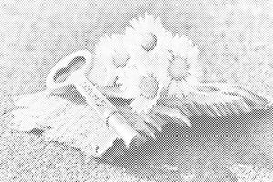 Ključ snova - Dottingo