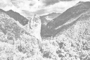 Orsomarso, Kalabrija - Dottingo