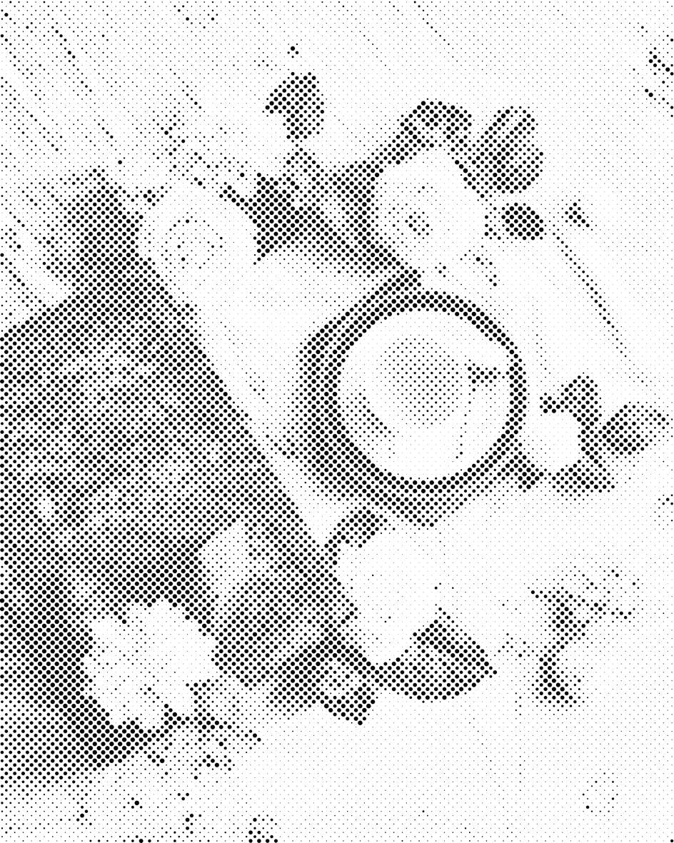 Romantični dan - Dottingo