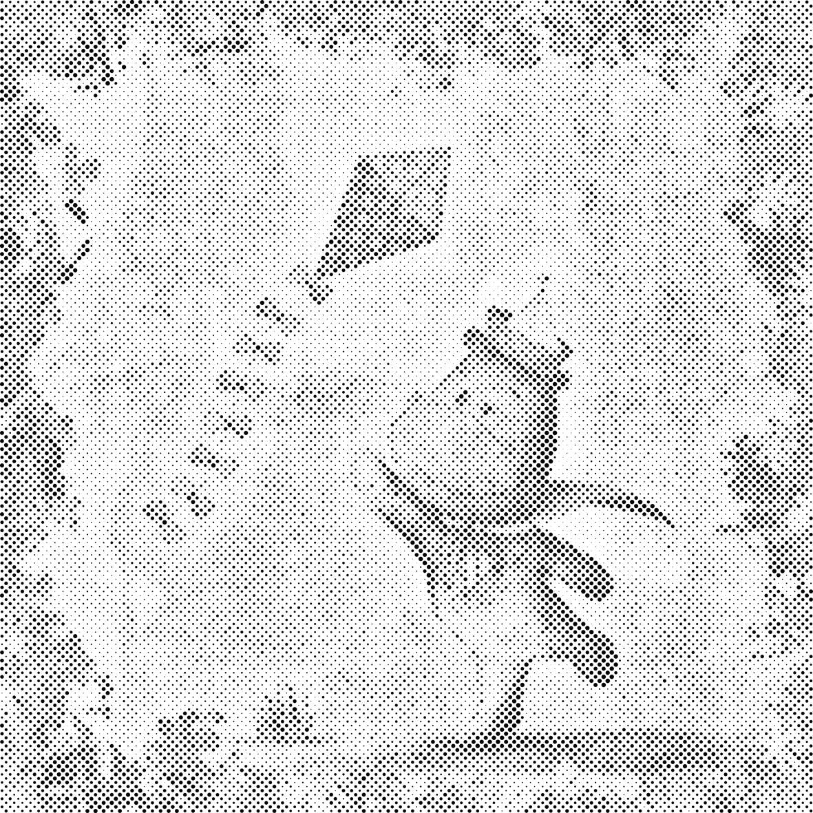 Leteći zmaj - Dottingo