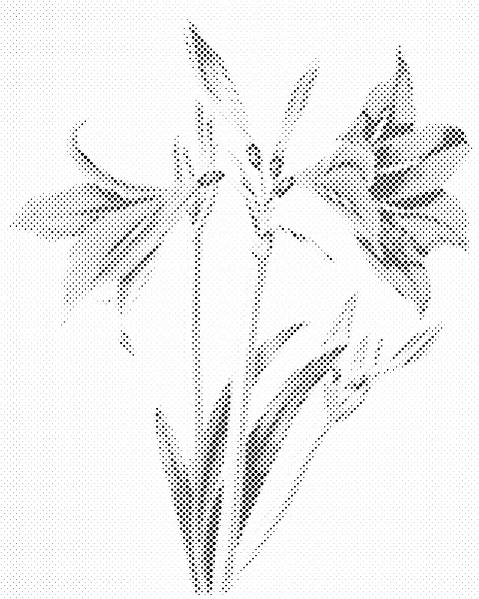 Vintage ljiljani - Dottingo