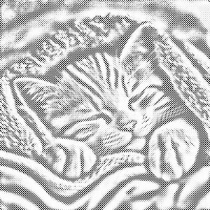 Mače ispod plahte - Dottingo