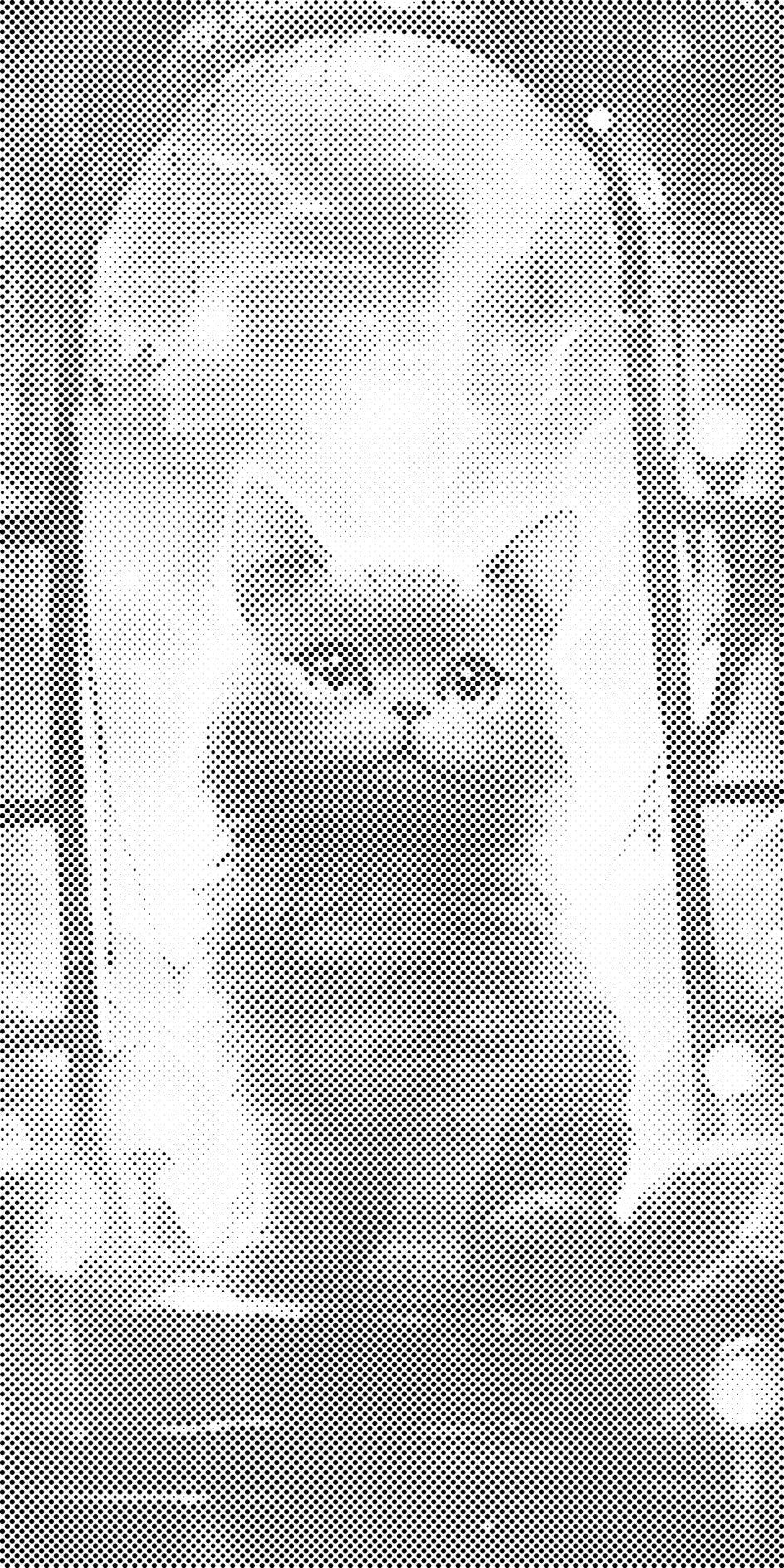 Mačka u prozoru - Dottingo