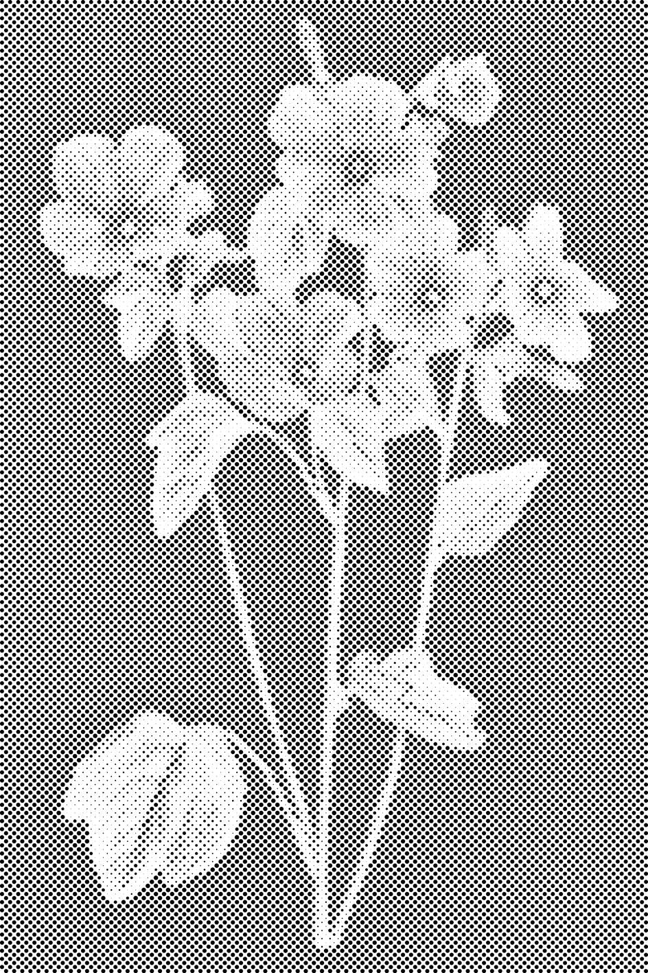 Vintage cvijeće - Dottingo