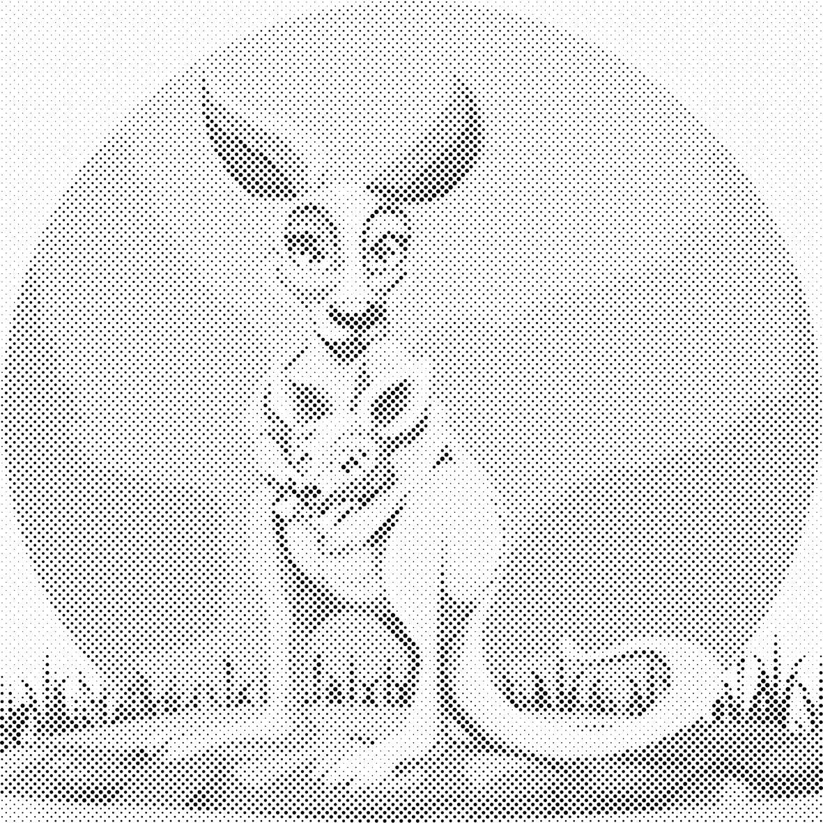 Klokan s mladuncem - Dottingo