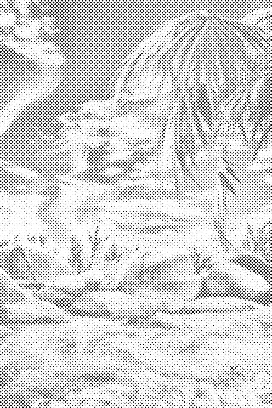 Ocean i palma - Dottingo