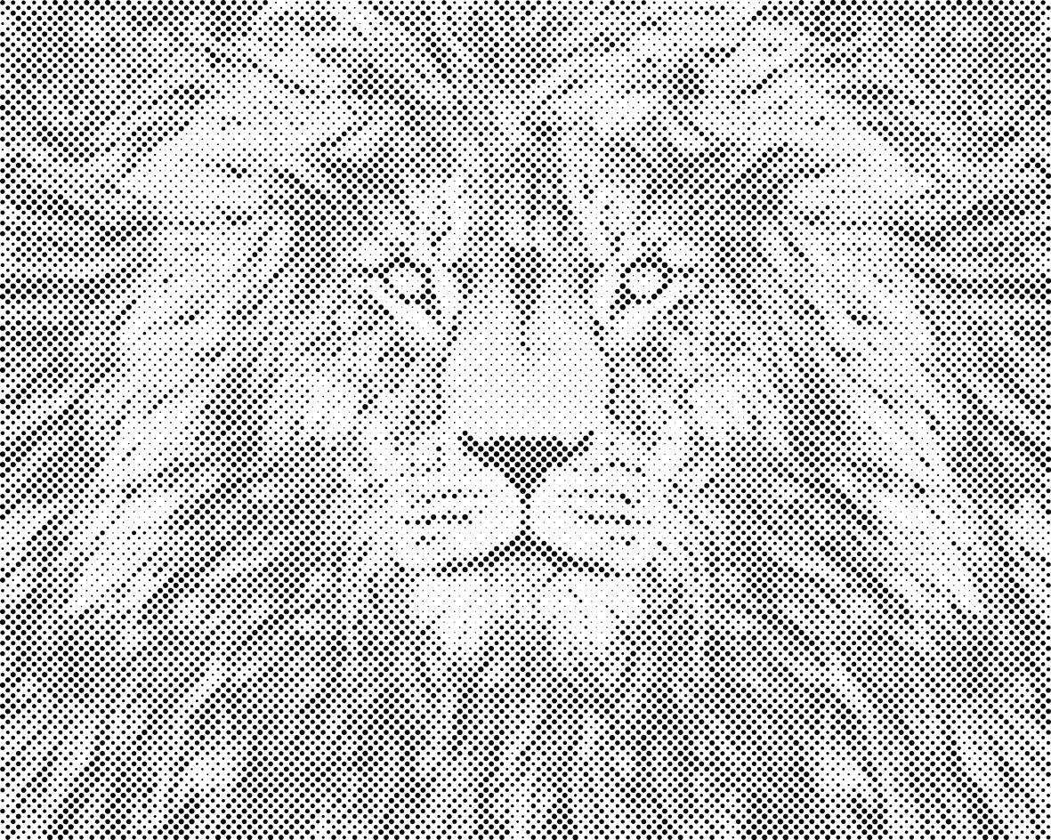 Lavov pogled - Dottingo