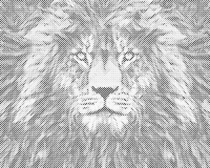 Lavov pogled - Dottingo