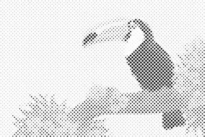 Tukan na grani drveta - Dottingo