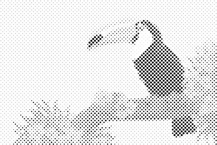 Tukan na grani drveta - Dottingo